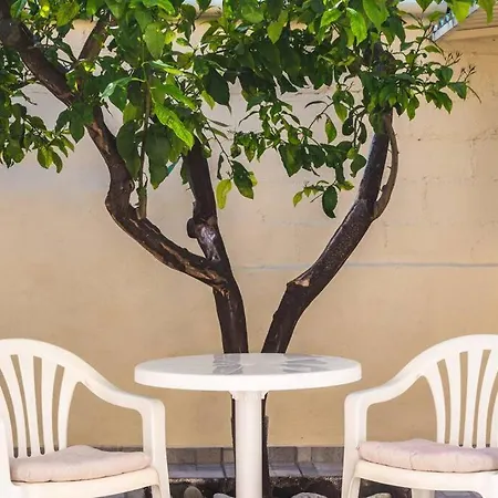 Lemon Tree *
