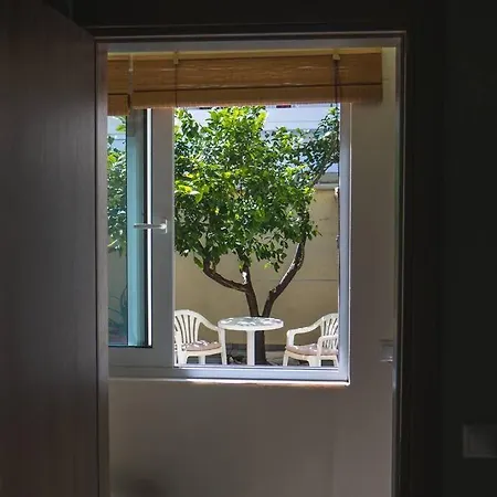 Apartment Lemon Tree *